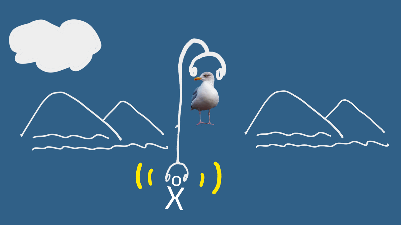 An animated drawing of a seagull between mountains and waves. The gull is listening to headphones. Every second, waves of information radiate out from the headphones.